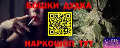 индика Северобайкальск