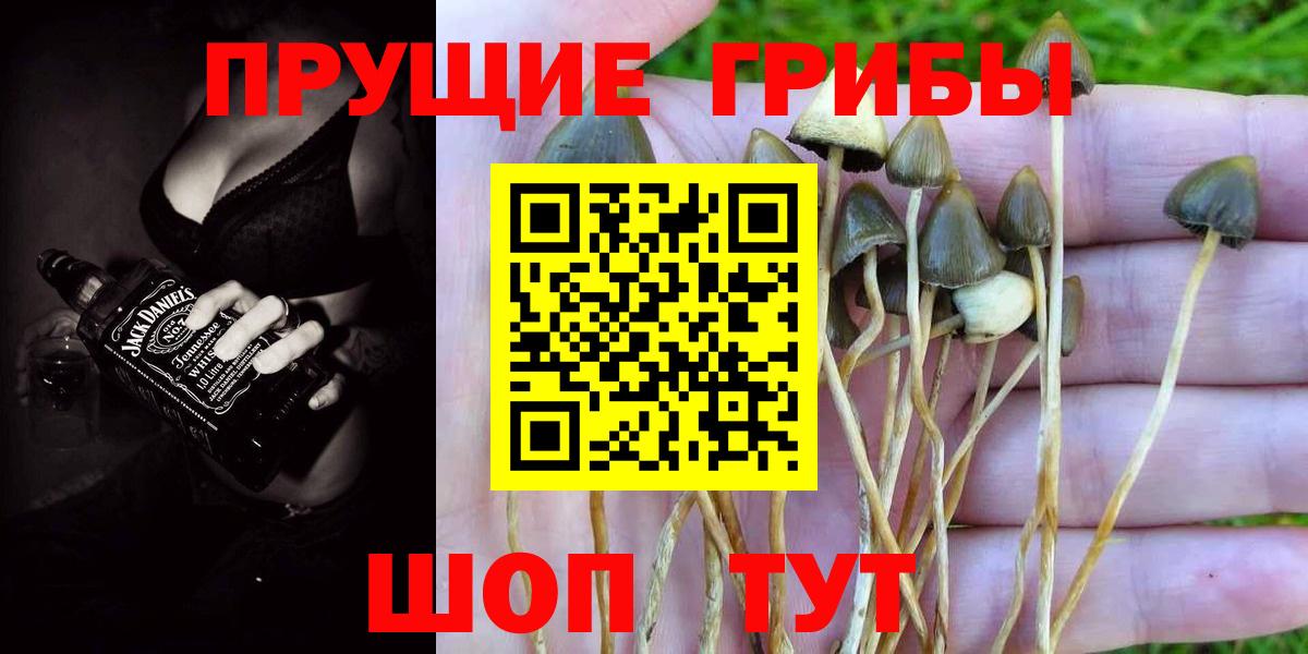 Галлюциногенные грибы MAGIC MUSHROOMS  Вход с VPN  Галлюциногенные грибы мухоморы  продажа наркотиков  Отрадный 